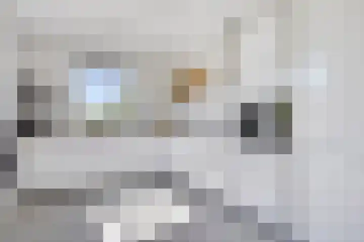 Pronkridder 28 Assen thumbnail 16