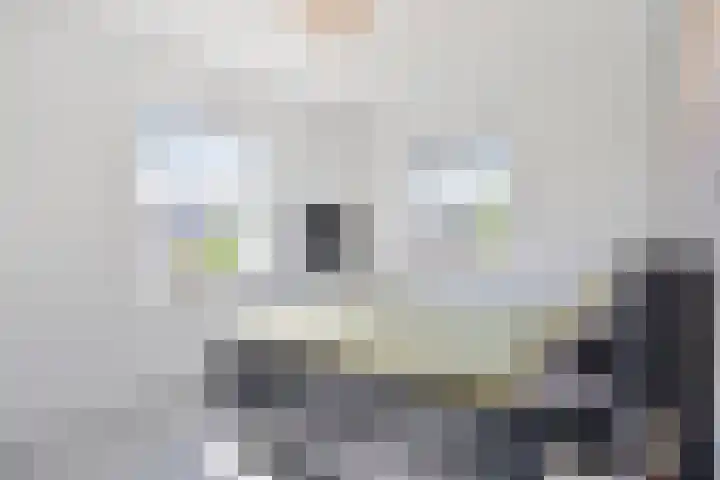 Pronkridder 28 Assen thumbnail 23