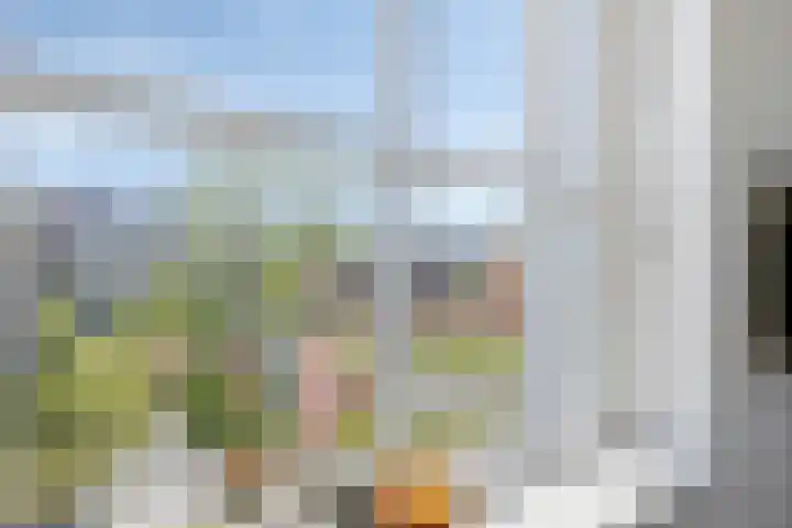 Pronkridder 28 Assen thumbnail 24