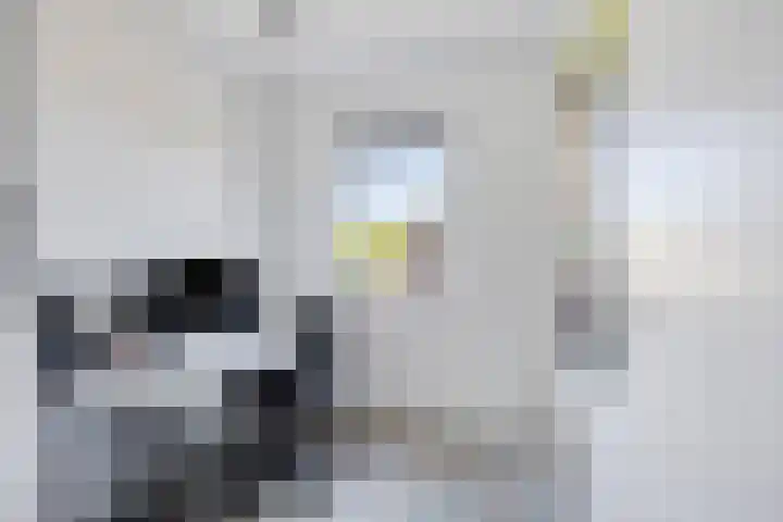 Pronkridder 28 Assen thumbnail 28