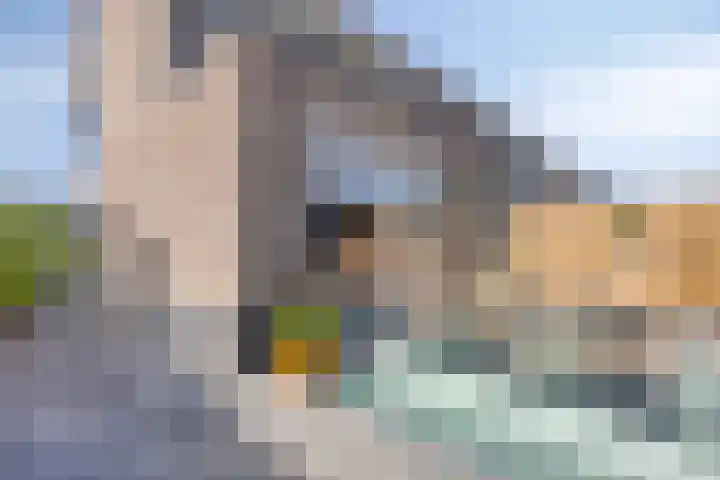 Pronkridder 28 Assen thumbnail 40
