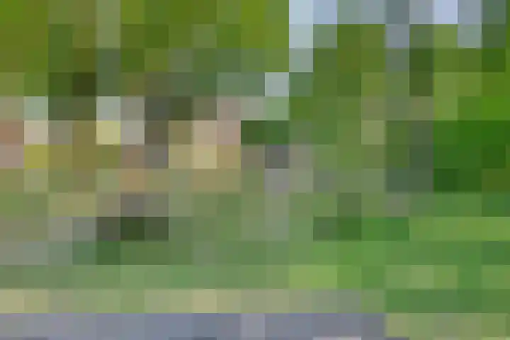 Pronkridder 28 Assen thumbnail 44