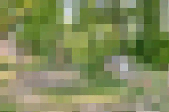 Pronkridder 28 Assen thumbnail 45