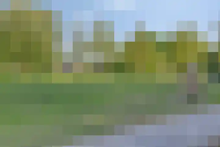 Pronkridder 28 Assen thumbnail 46