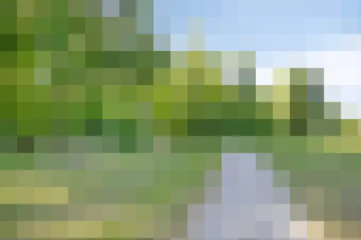 Pronkridder 28 Assen thumbnail 48