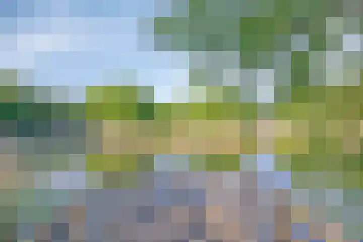 Pronkridder 28 Assen thumbnail 49