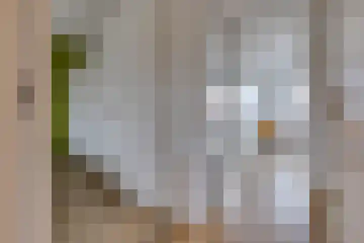 Pronkridder 34 Assen thumbnail 14