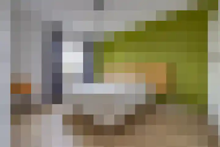 Pronkridder 34 Assen thumbnail 15