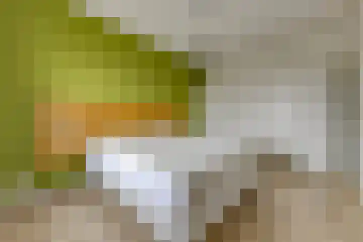 Pronkridder 34 Assen thumbnail 16
