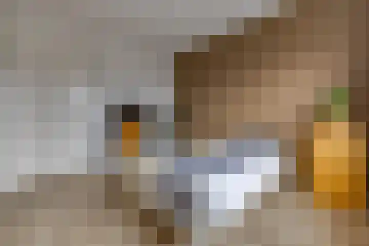 Pronkridder 34 Assen thumbnail 19