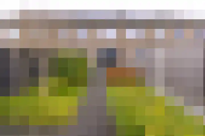 Pronkridder 34 Assen thumbnail 25