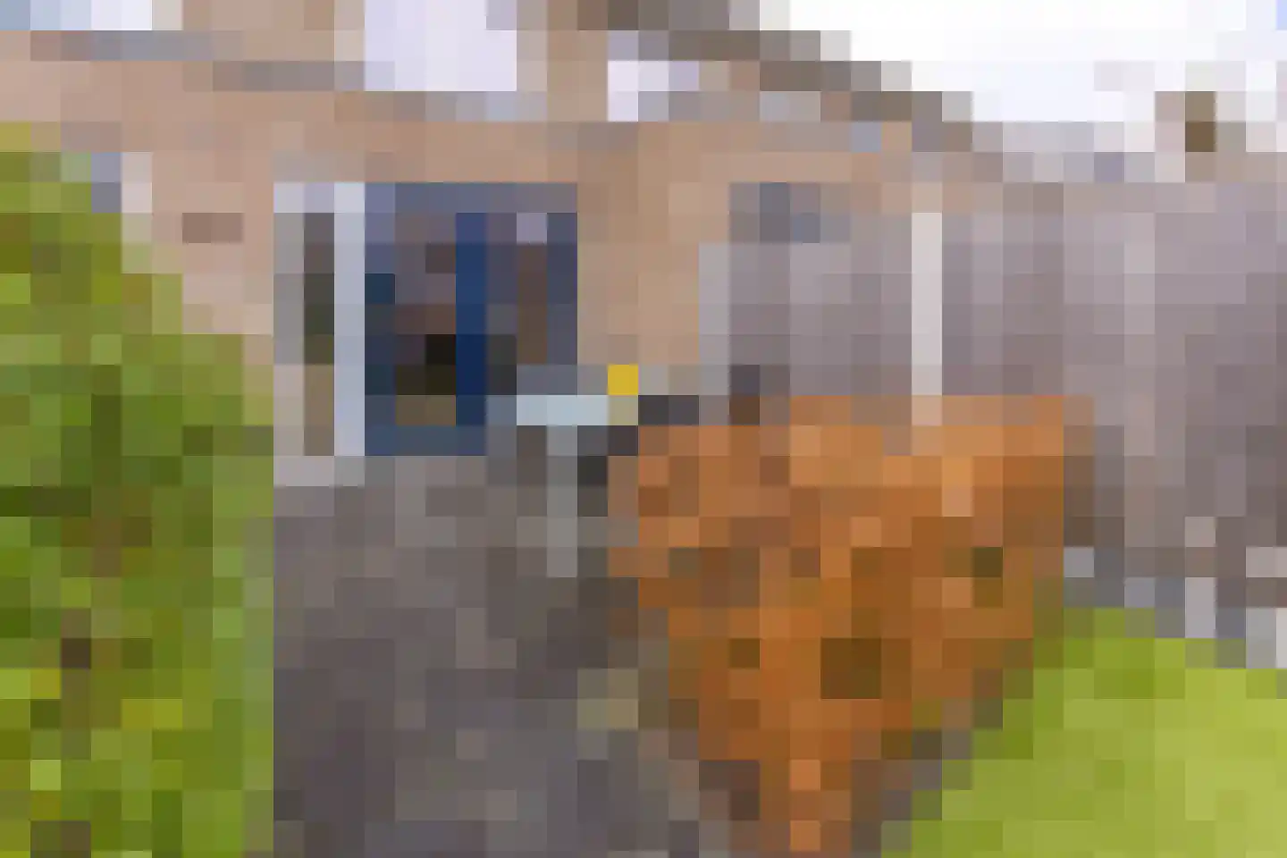 Pronkridder 34 Assen thumbnail 26