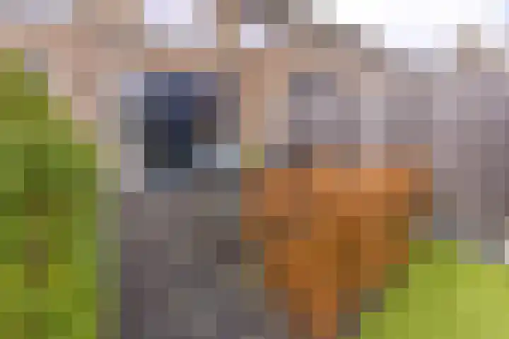 Pronkridder 34 Assen thumbnail 26
