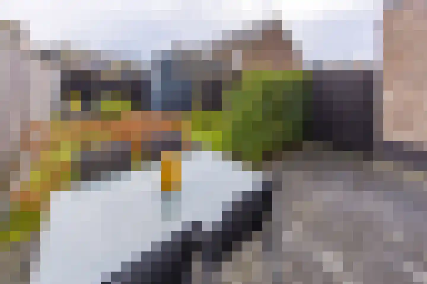 Pronkridder 34 Assen thumbnail 27
