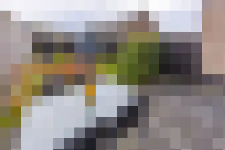 Pronkridder 34 Assen thumbnail 27