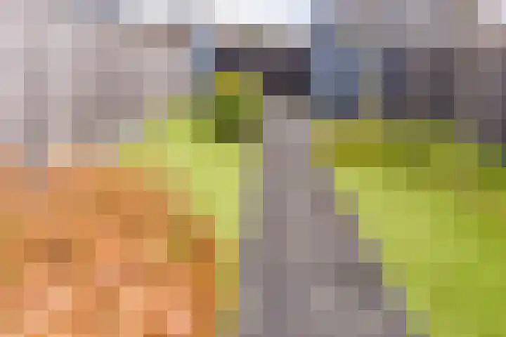 Pronkridder 34 Assen thumbnail 28