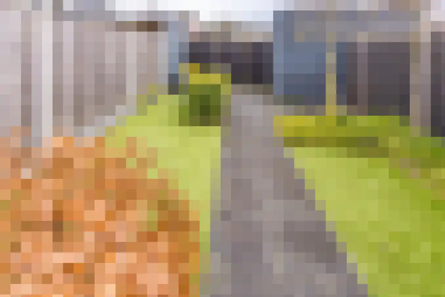 Pronkridder 34 Assen thumbnail 28