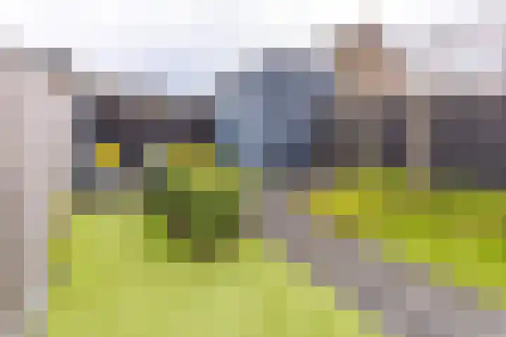 Pronkridder 34 Assen thumbnail 29