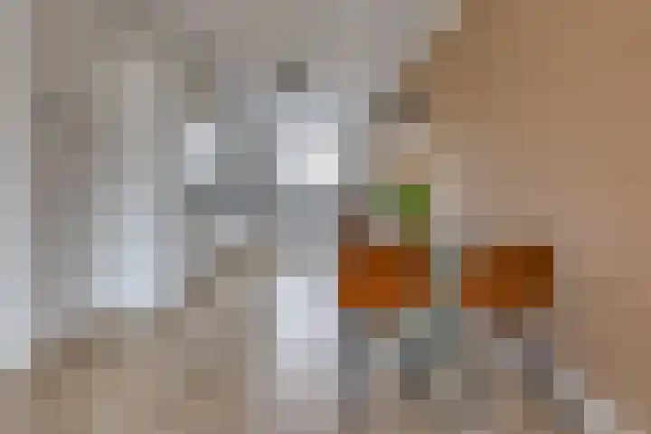 Pronkridder 34 Assen thumbnail 4