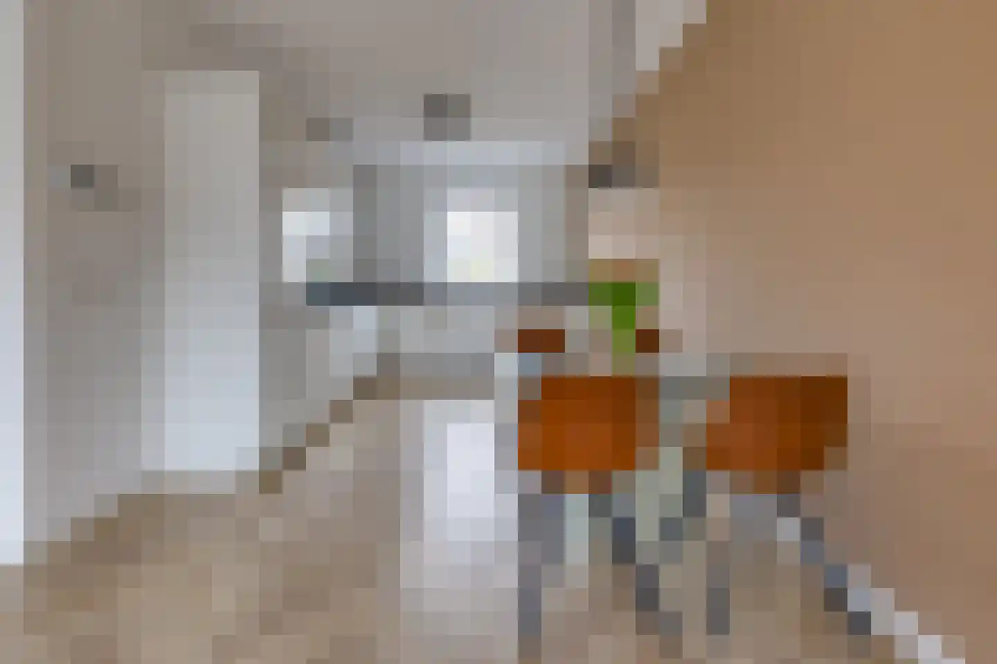 Pronkridder 34 Assen thumbnail 4