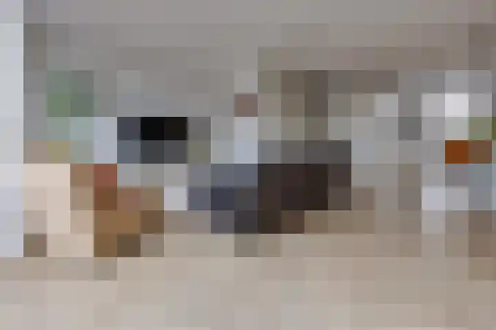 Pronkridder 34 Assen thumbnail 5