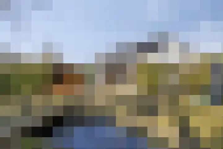 Proosdij 17 Farmsum thumbnail 22