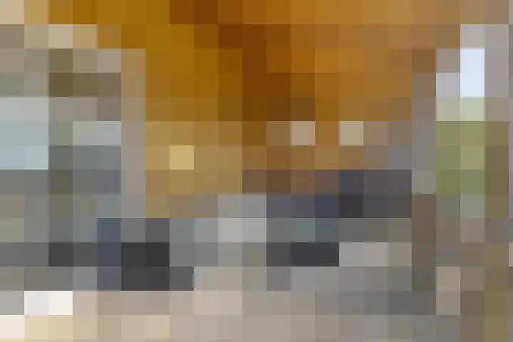 Proosdij 17 Farmsum thumbnail 23