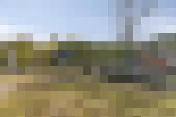 Proosdij 17 Farmsum thumbnail 25