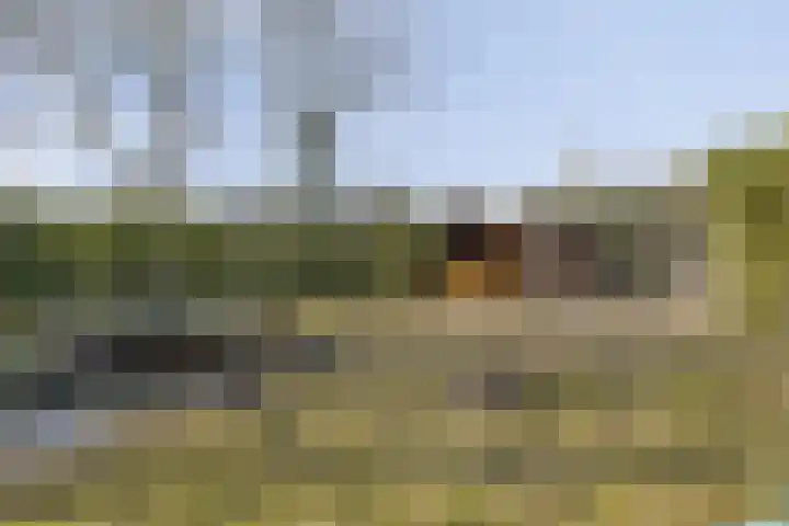 Proosdij 17 Farmsum thumbnail 26