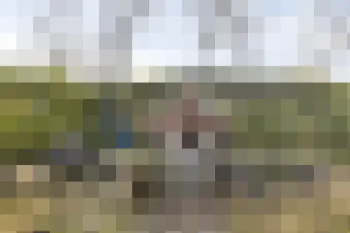 Proosdij 17 Farmsum thumbnail 27