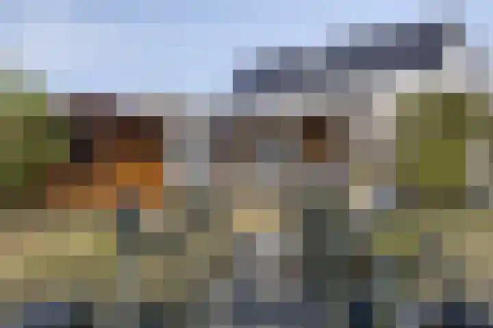Proosdij 17 Farmsum thumbnail 29