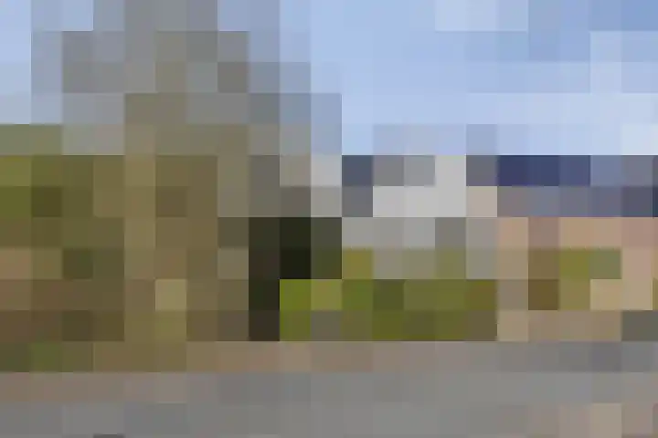 Proosdij 17 Farmsum thumbnail 30