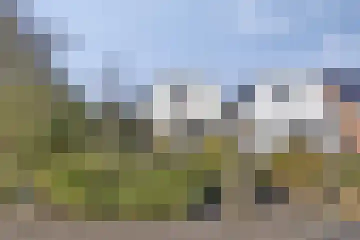 Proosdij 17 Farmsum thumbnail 31