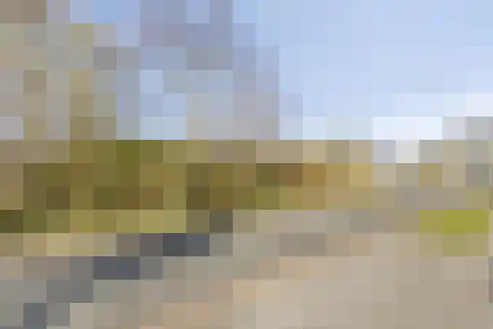 Proosdij 17 Farmsum thumbnail 33