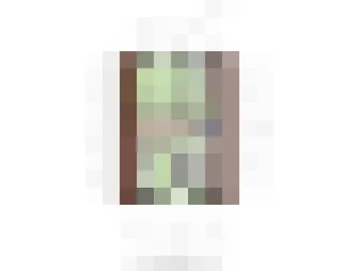 Proosdij 17 Farmsum thumbnail 36