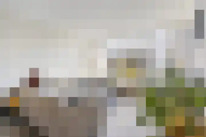 Proosdij 17 Farmsum thumbnail 4