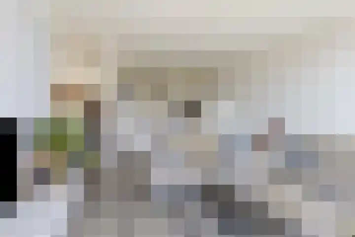 Proosdij 17 Farmsum thumbnail 5