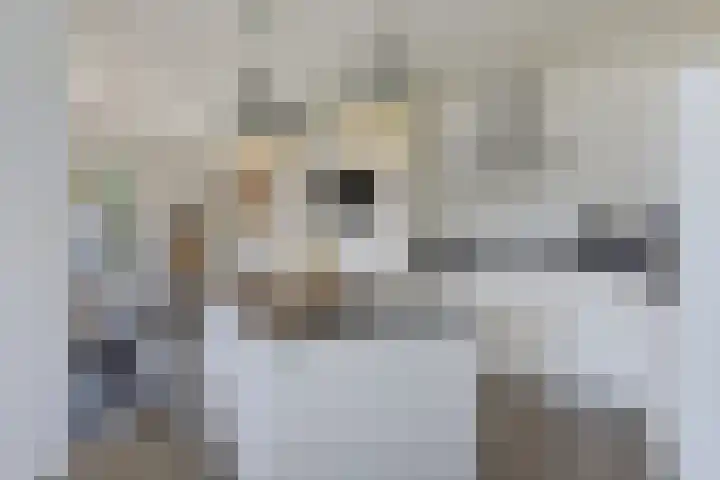 Proosdij 17 Farmsum thumbnail 7