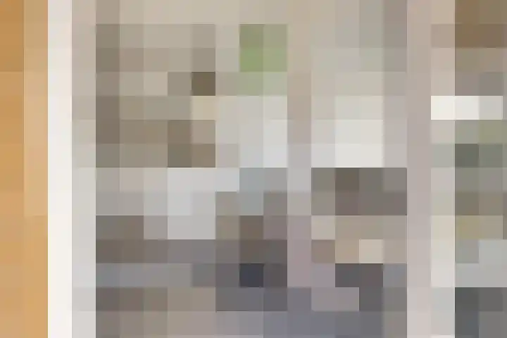 Proosdij 17 Farmsum thumbnail 9