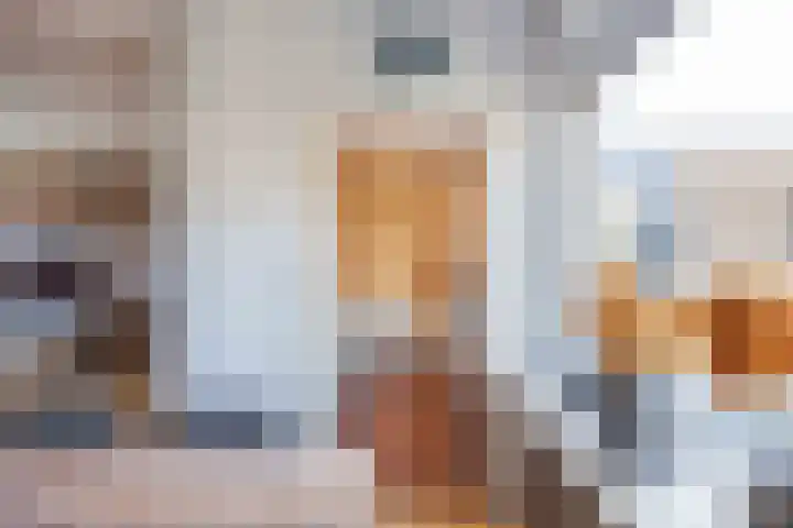 Proosdij 3 Leens thumbnail 17