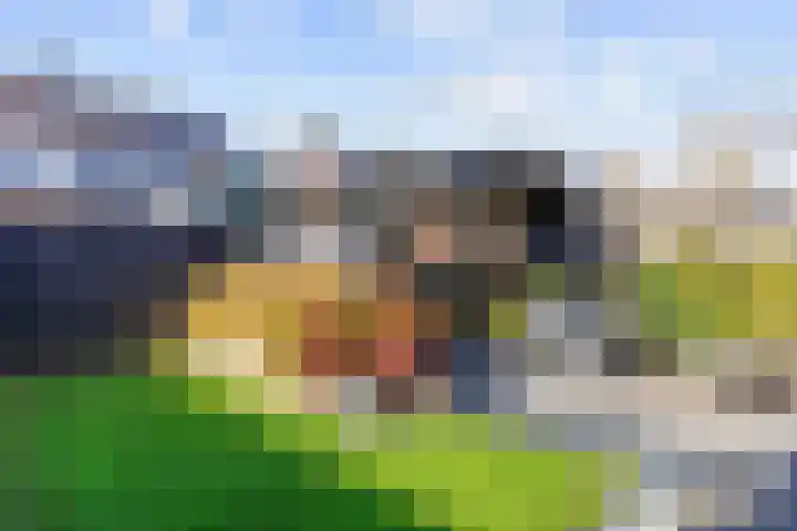 Proosdij 3 Leens thumbnail 36