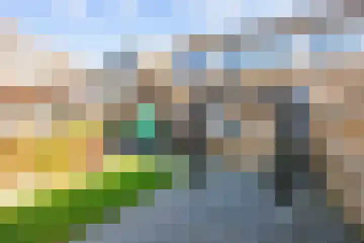Proosdij 3 Leens thumbnail 37