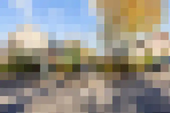 Proosdij 3 Leens thumbnail 4