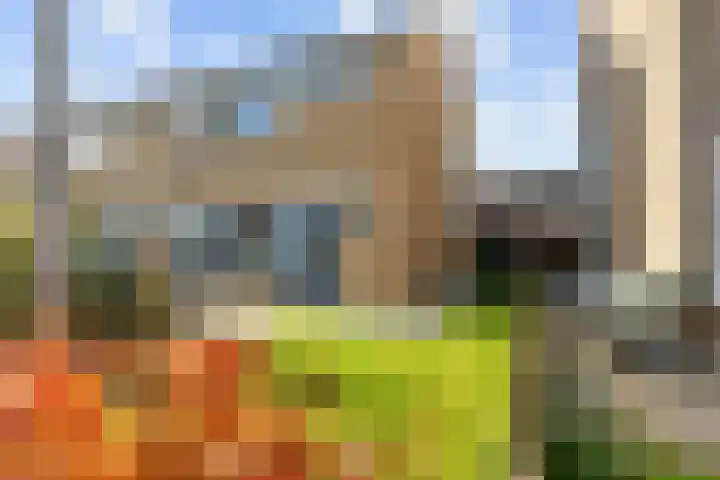 Proosdij 3 Leens thumbnail 7