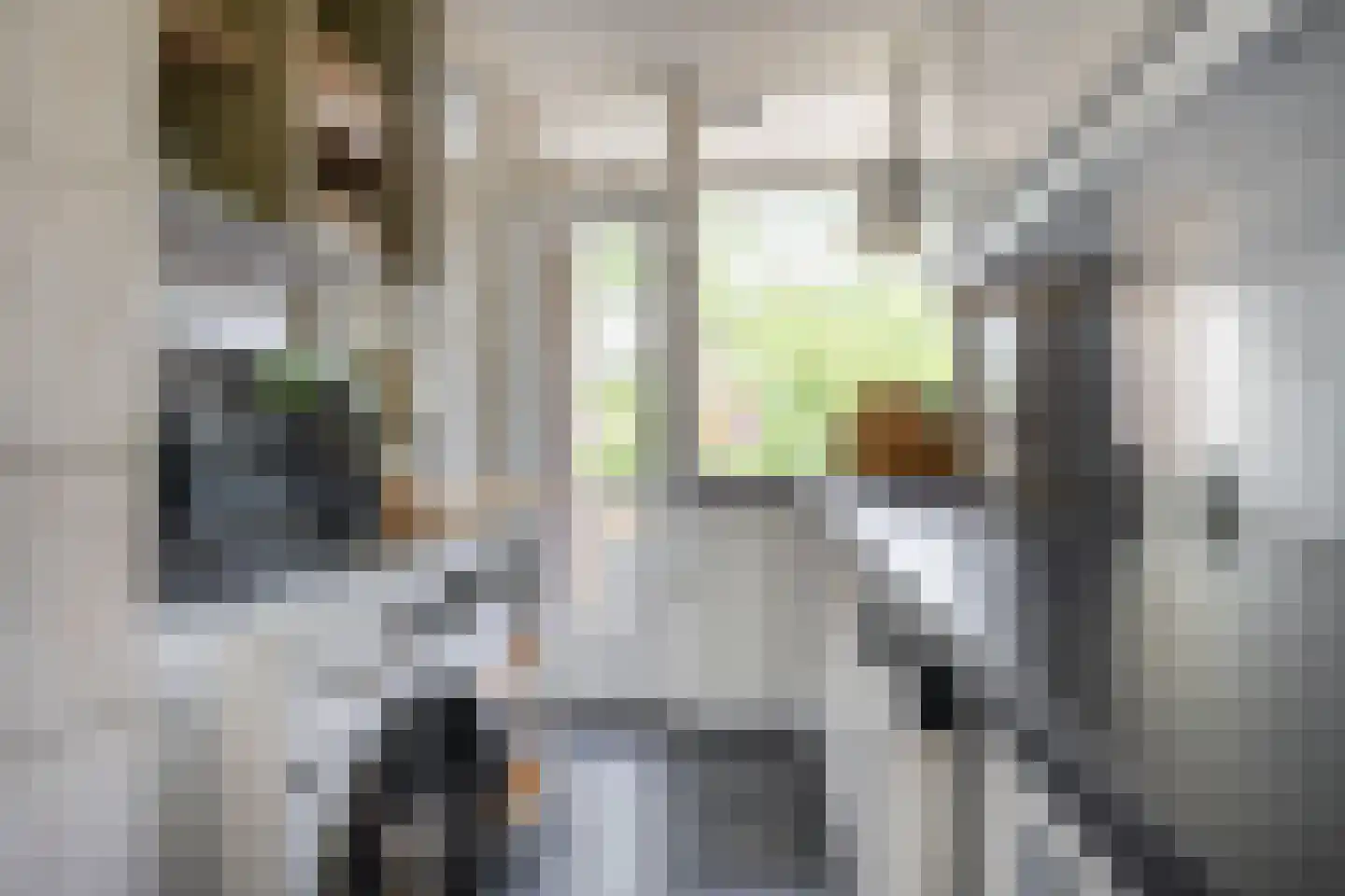 Proosdijerveldweg 149 Ede thumbnail 14