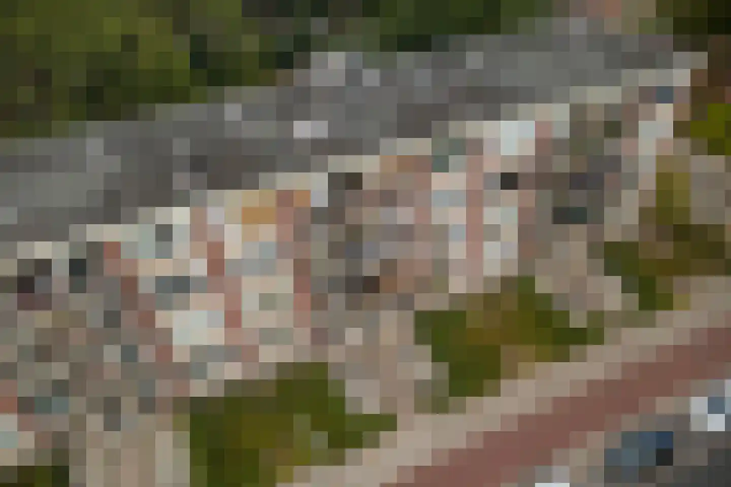 Proosdijerveldweg 149 Ede thumbnail 32