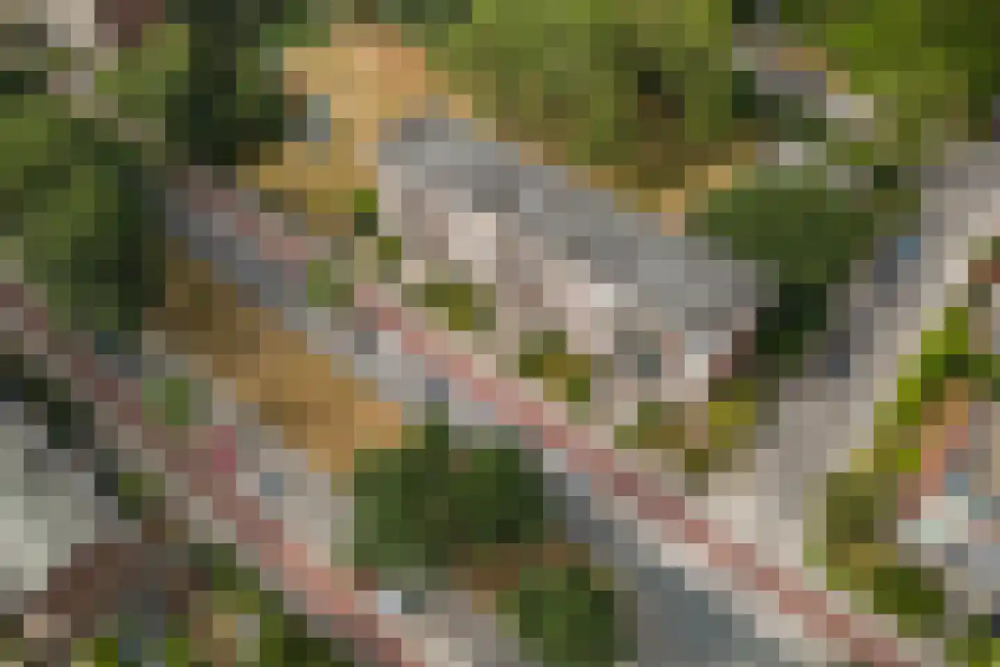 Proosdijerveldweg 149 Ede thumbnail 34