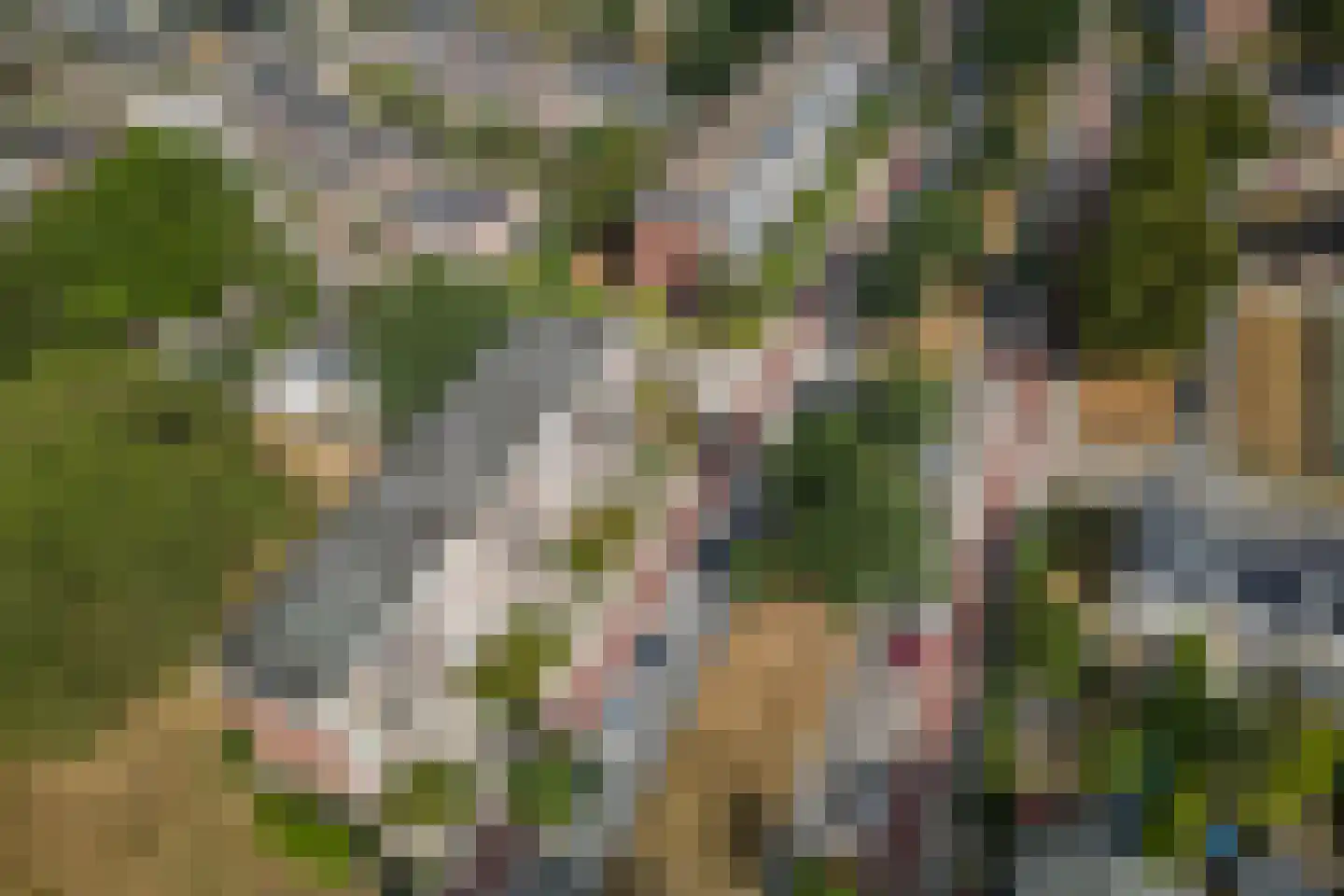 Proosdijerveldweg 149 Ede thumbnail 35