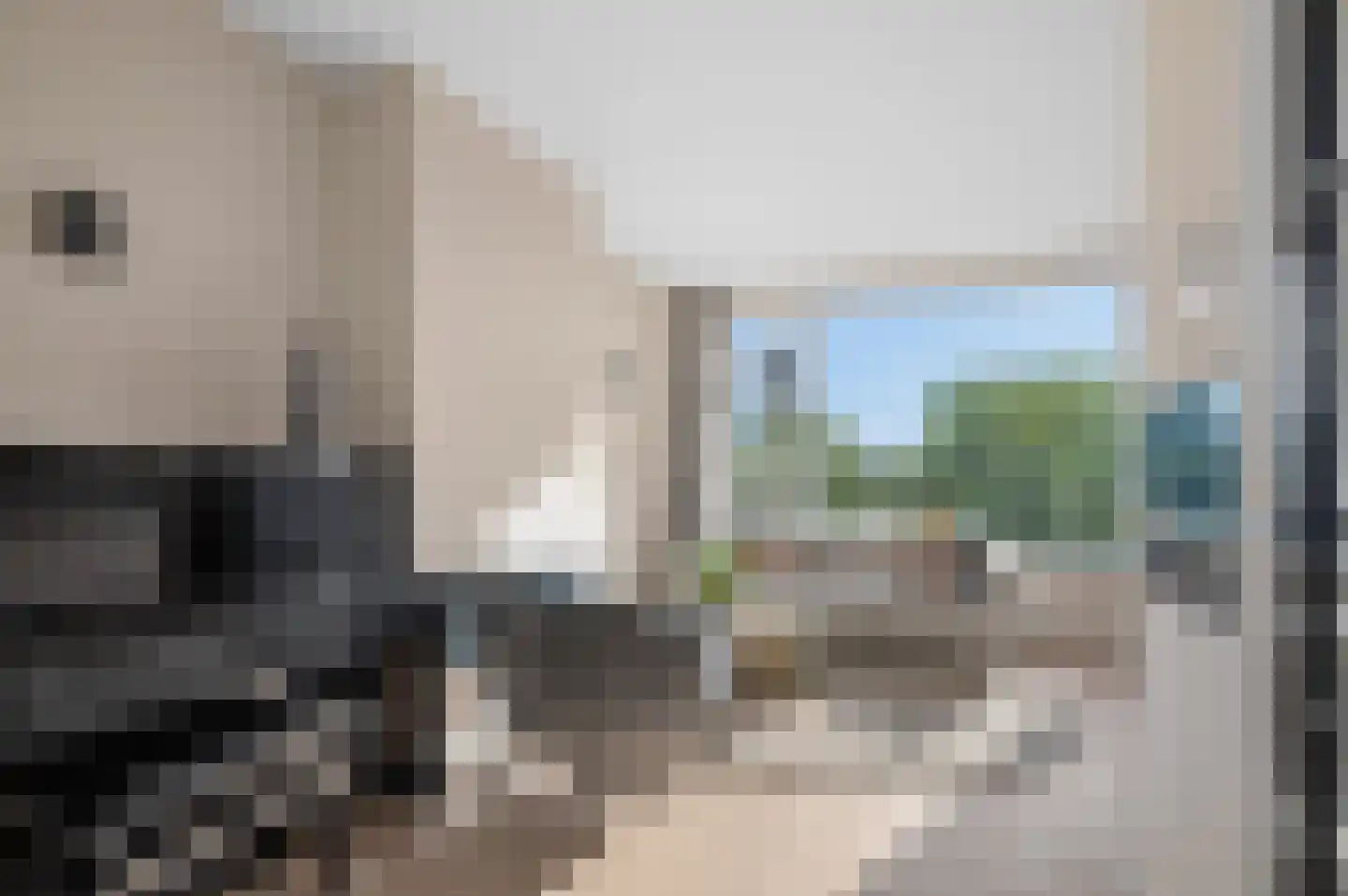 Proosdijerveldweg 195 Ede thumbnail 7