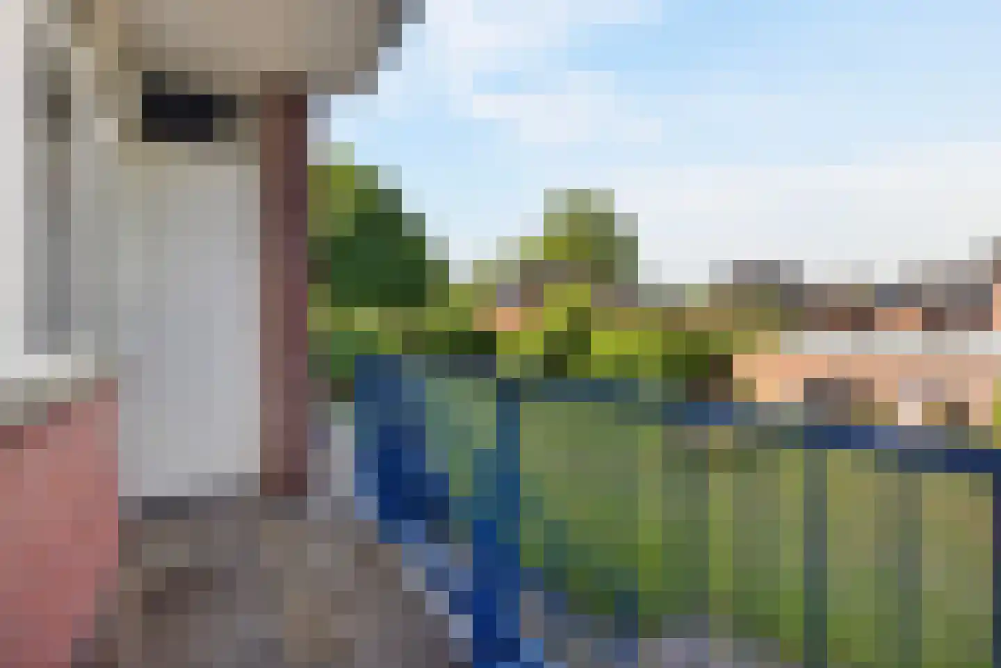 Proosdijerveldweg 229 Ede thumbnail 13